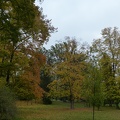 podzim v parku 24102012_11