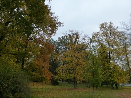 podzim v parku 24102012_11